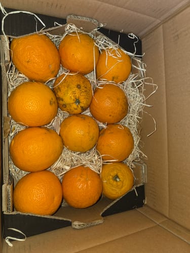 Ein Kunde zeigt die geöffnete Kiste mit frischen, unbehandelten Bio-Orangen.