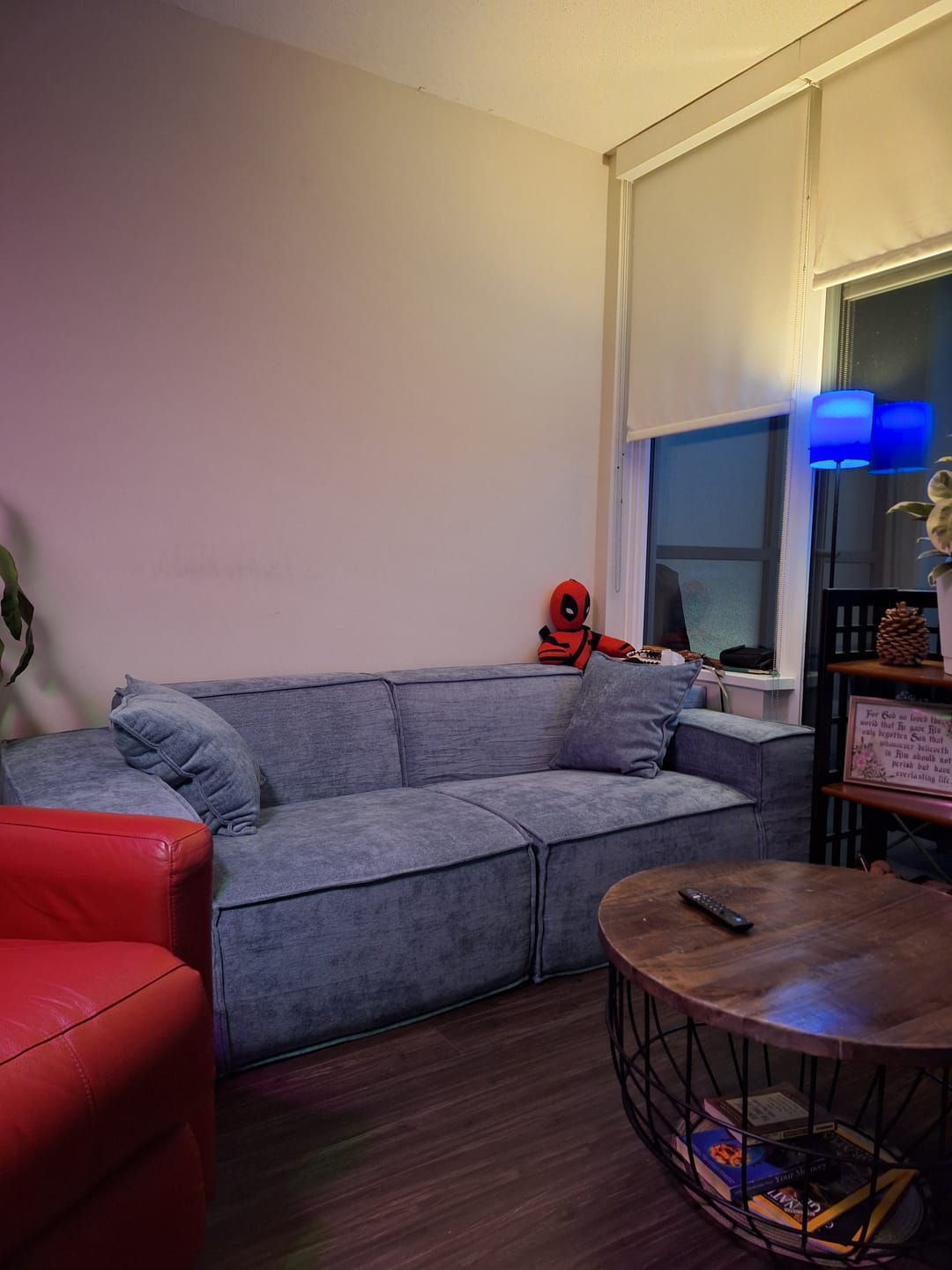 Customer photo review of M1 Sofa Loveseat