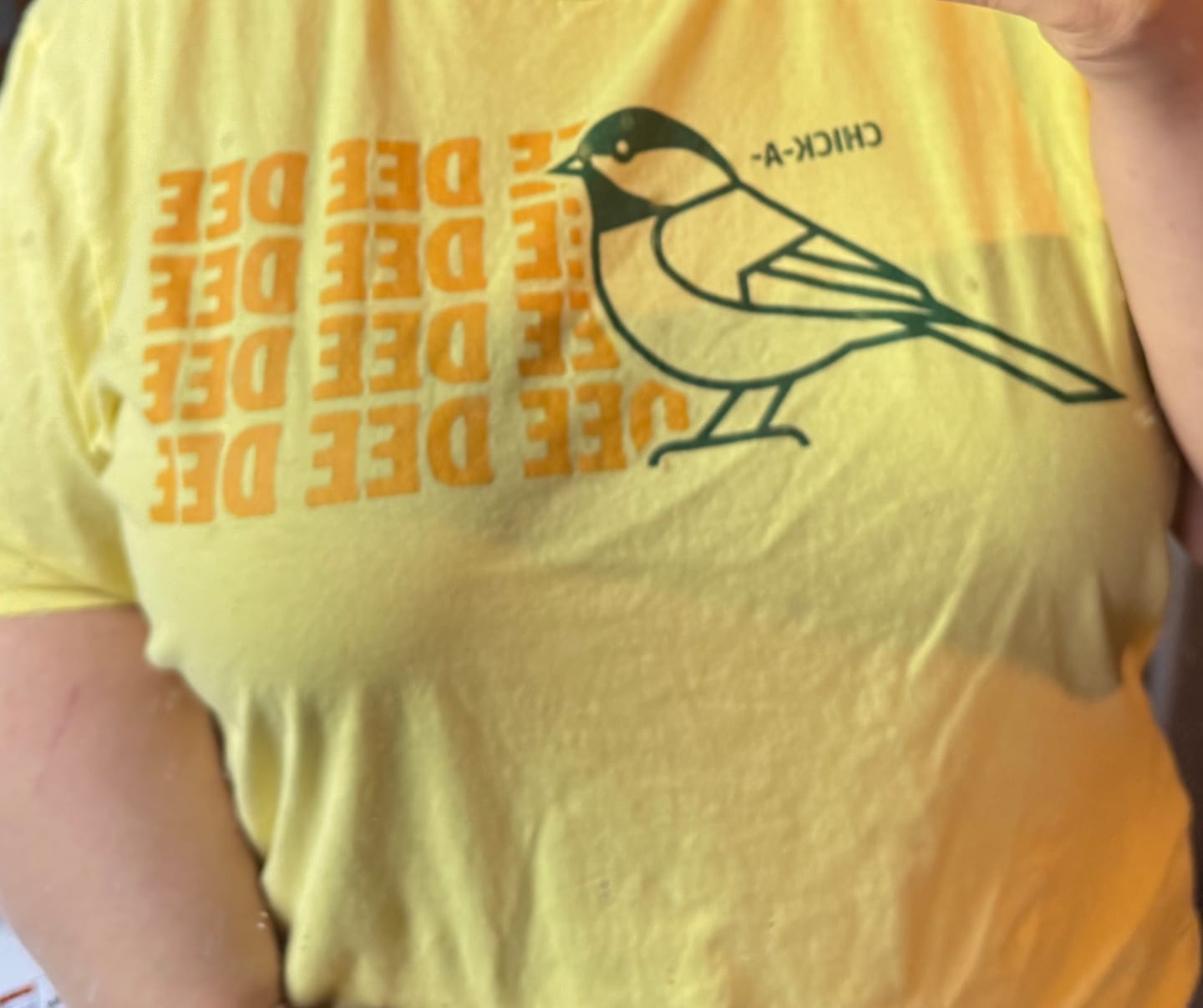 Customer photo review of Chickadee Dee Dee Tee