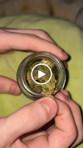 Customer video review of THCA Queen