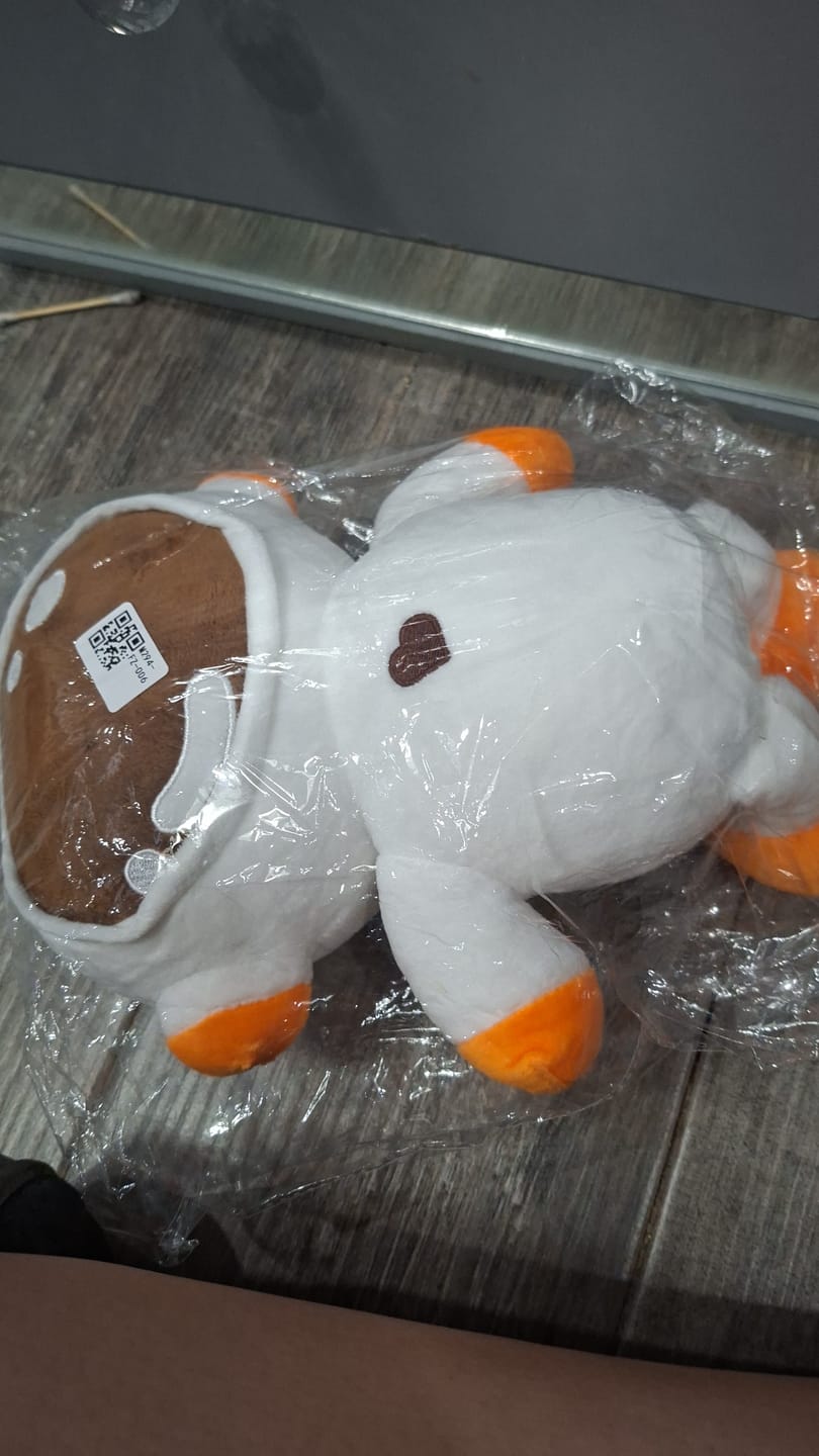 Customer photo review of Peluche Ivan Cornejo