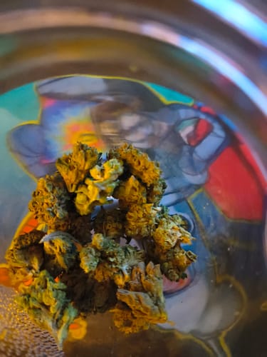 Customer photo review of Super Sour Diesel THCA Flower