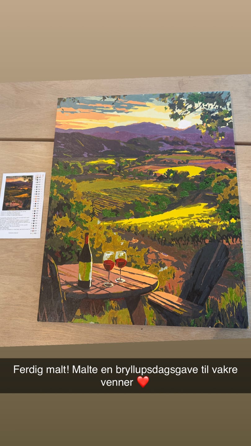 Customer photo review of Vineyards land | Paint by Number