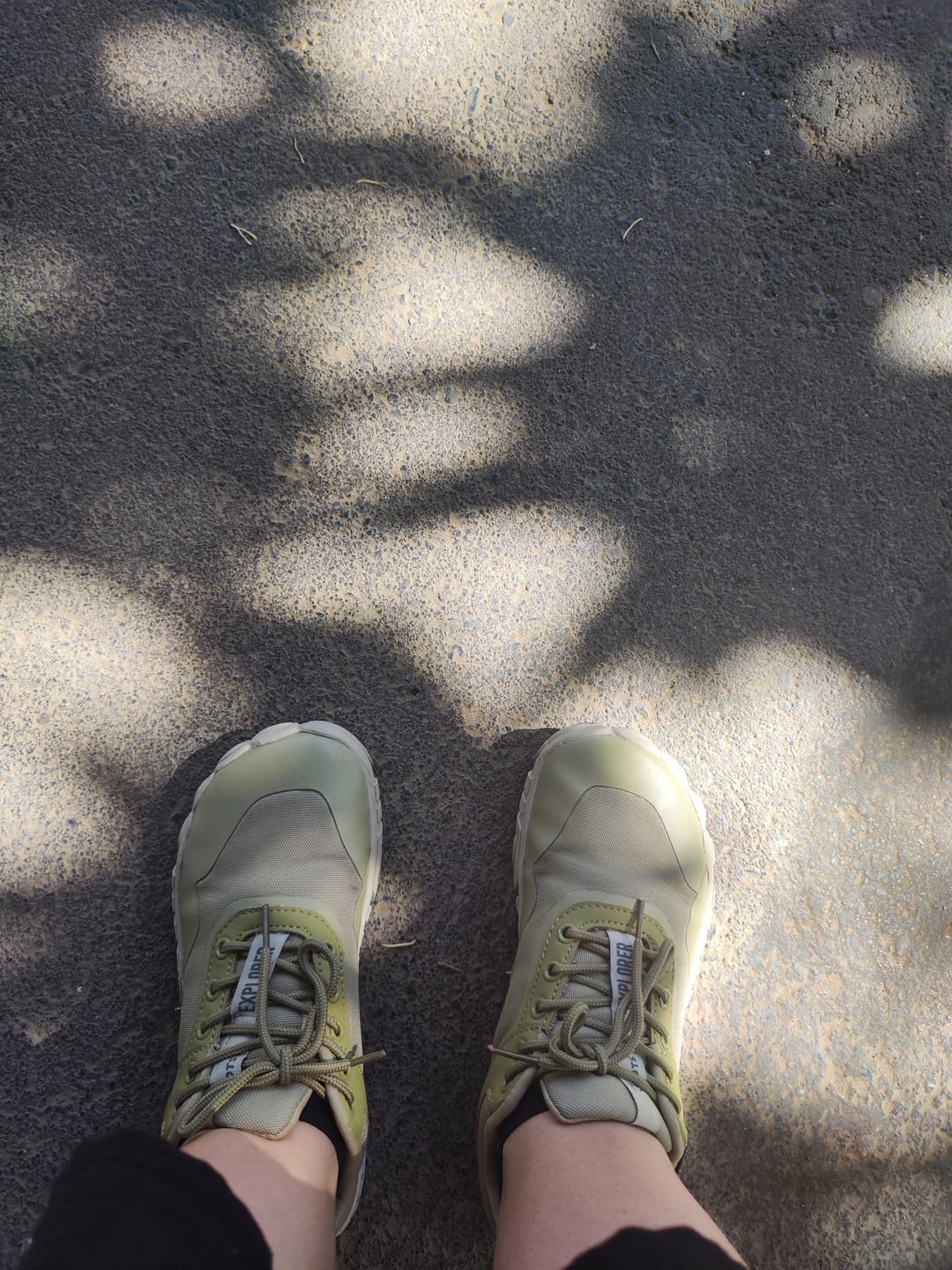 Customer photo review of Roots Explorer Oliva- Tecnología RAINSafe™