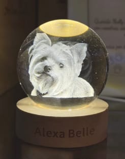 Customer photo review of Personalized Sphere