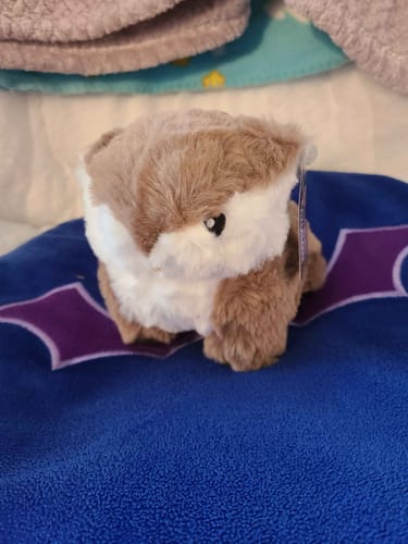 Customer photo review of Keychain Companions
