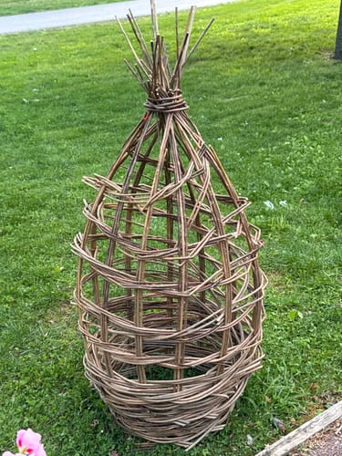 Customer photo review of The Willow Plant Support (3.8 Feet Tall)