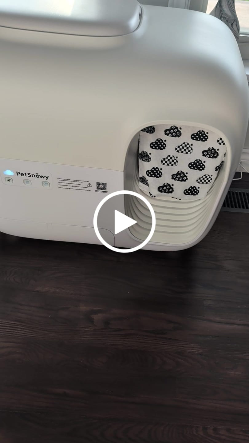 Customer video review of Self-Cleaning Litter Box