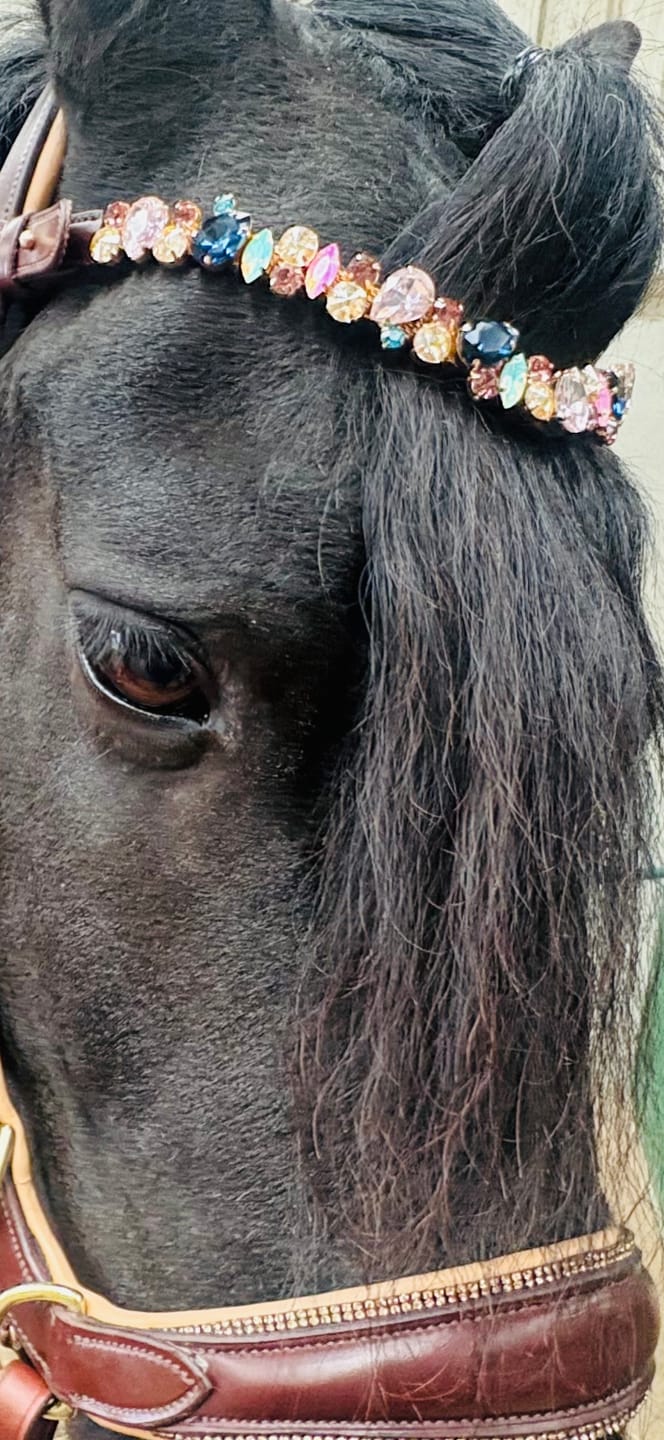 Customer photo review of Spiritandhiscrew X MASEGO Multi bridle, bit to bitless system no.2