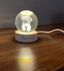 Customer photo review of Personalized Sphere