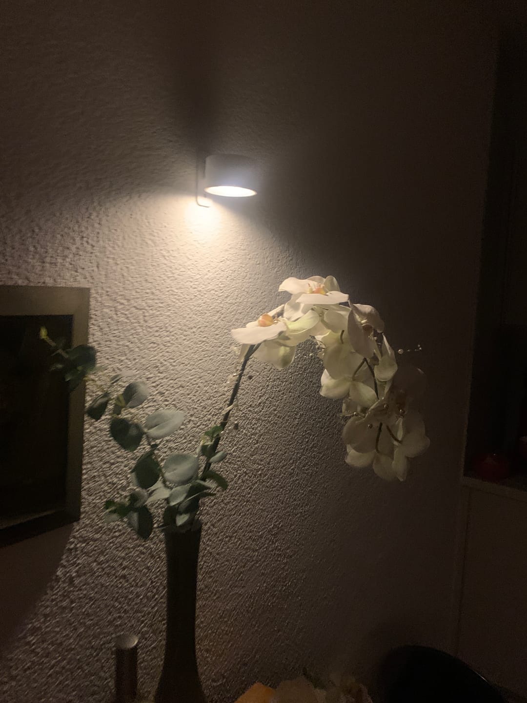 Customer photo review of Lunovia™ | Magnetic 360° Wall Light