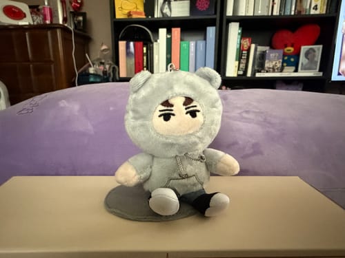 Customer's grey plush doll wearing a hoodie with bear ears, an item from the K-POP RANDOM BOX.