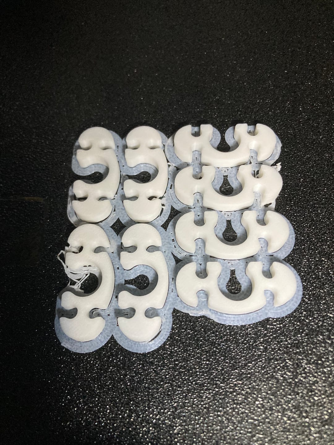 Customer photo review of PLA Basic