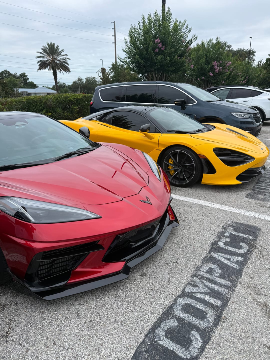 Customer photo review of Corvette C8 Front Splitter [5VM Package]