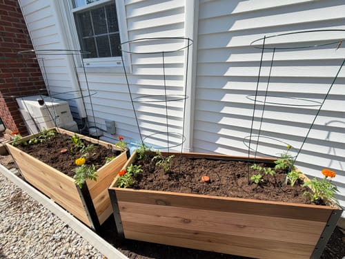 Customer photo review of 18" x 48" Raised Garden Bed - 30" TALL - Select Grade