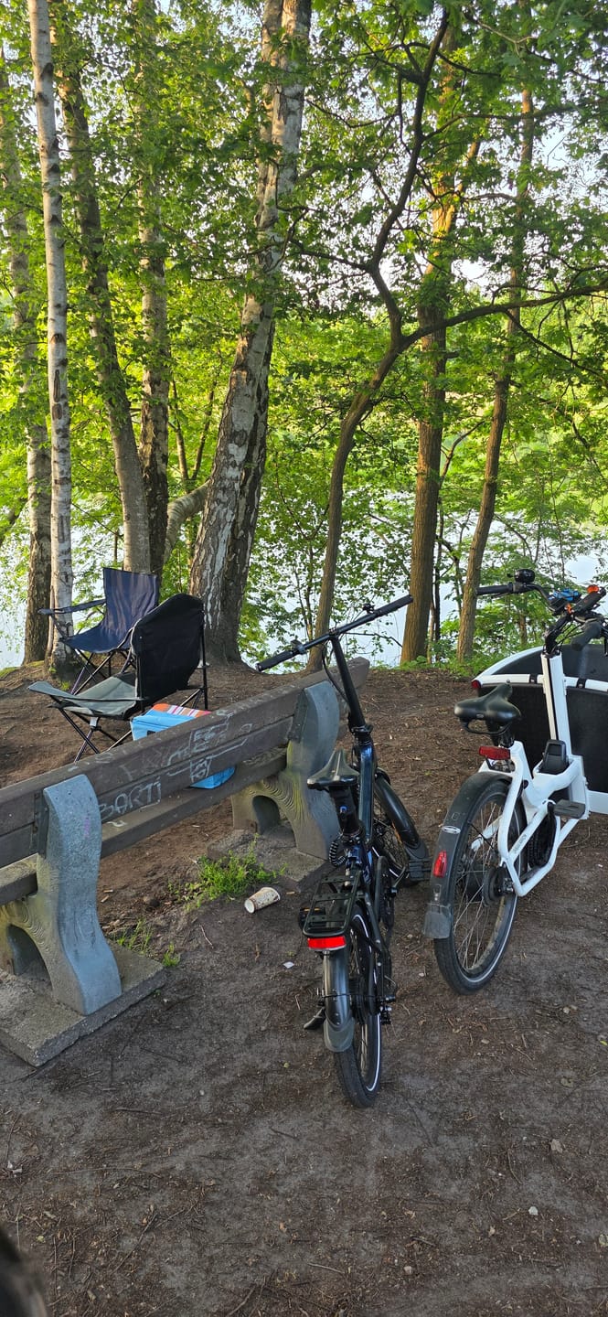 Customer photo review of Onemile Nomad Lite Urban Electric Bike