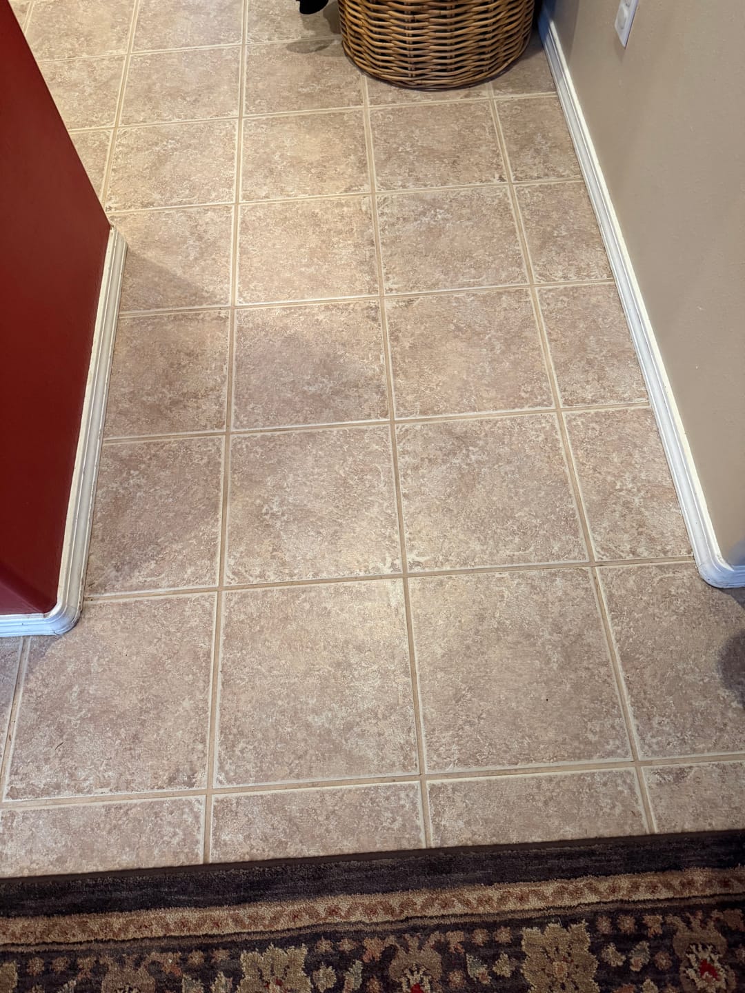 Customer photo review of Premium Starter Bundle