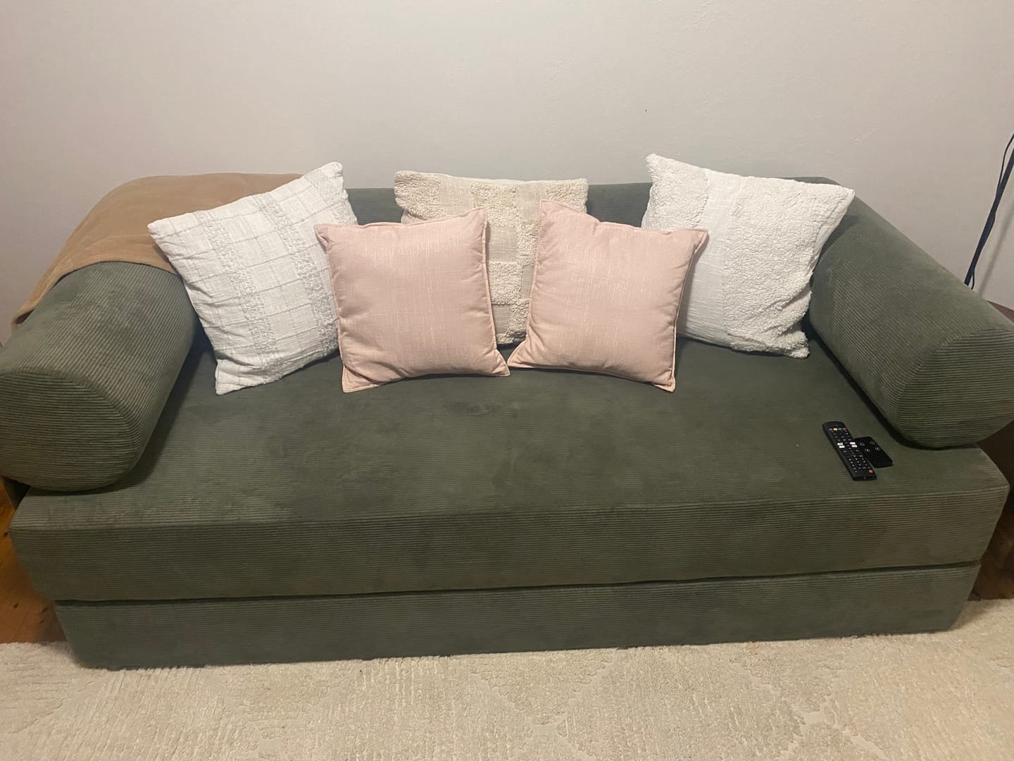 Customer photo review of S8 Sleeper Sofa Bed