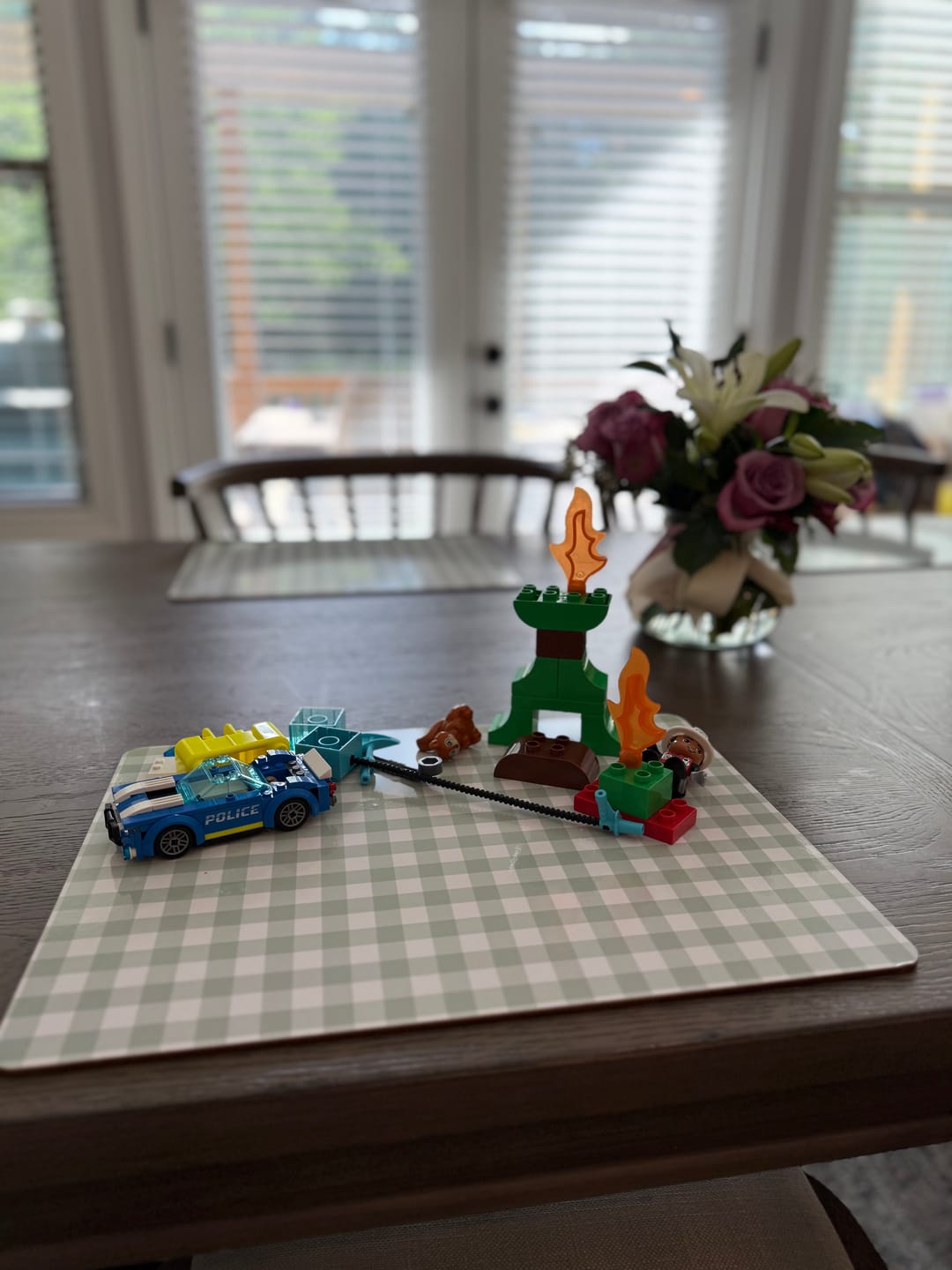Customer photo review of Sage Gingham Placemat - 4 Pack