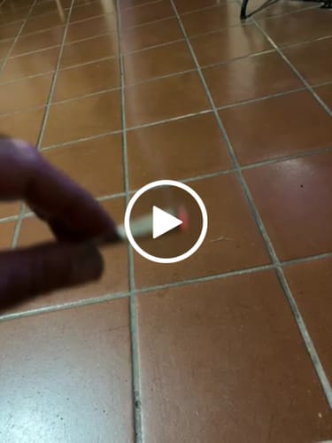 Customer video review of Montgomery Benz THCA Flower