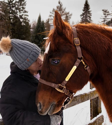Customer photo review of iCavalos - Horse halter - Preorder