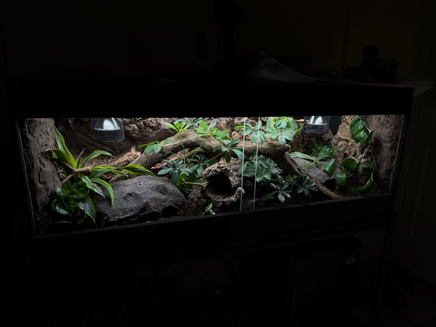 Customer photo review of 60"x24"x24" / 5'x2'x2' Premium PVC Reptile Enclosure