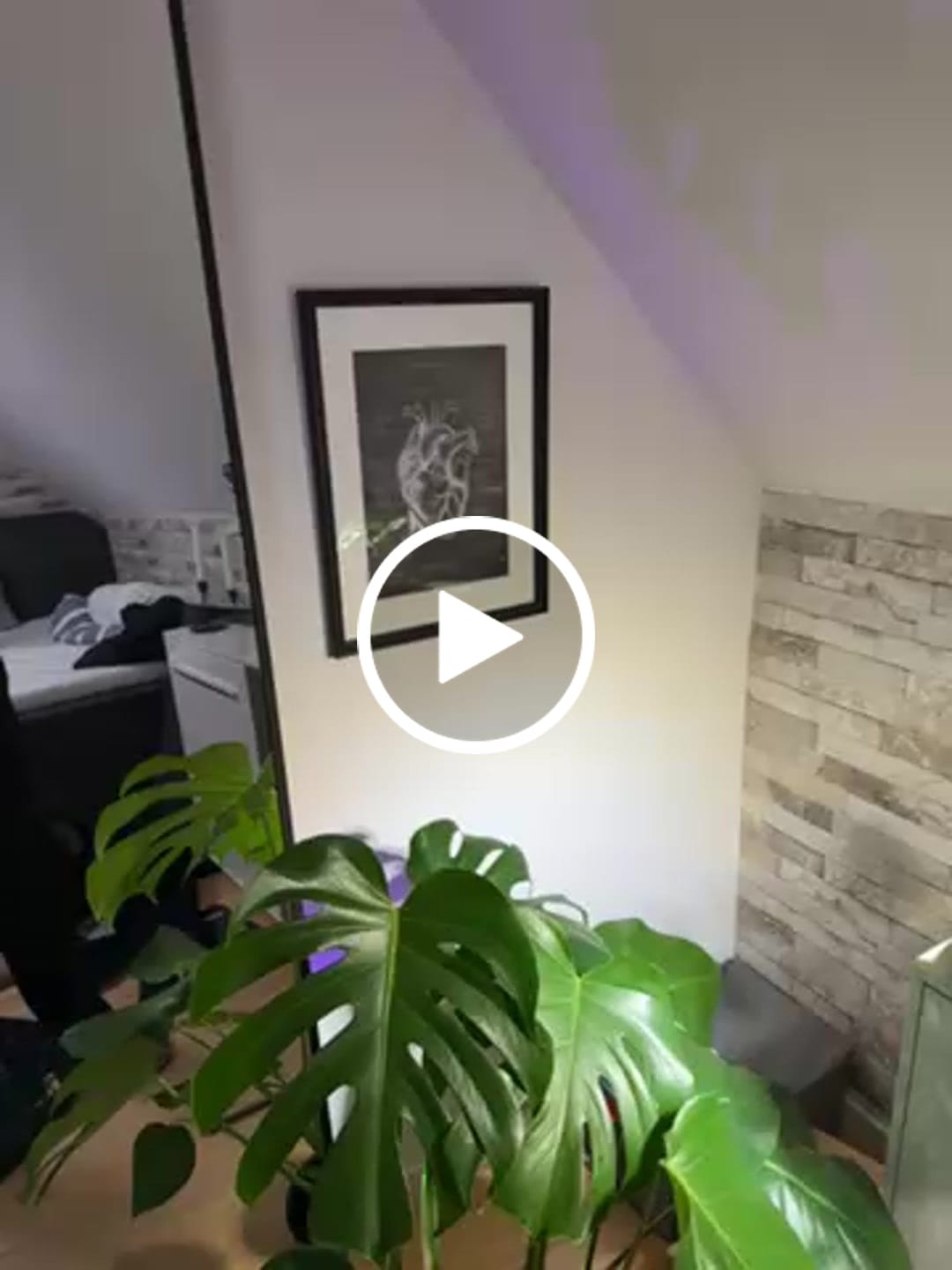 Customer video review of Herz Anatomie - Chalkboard