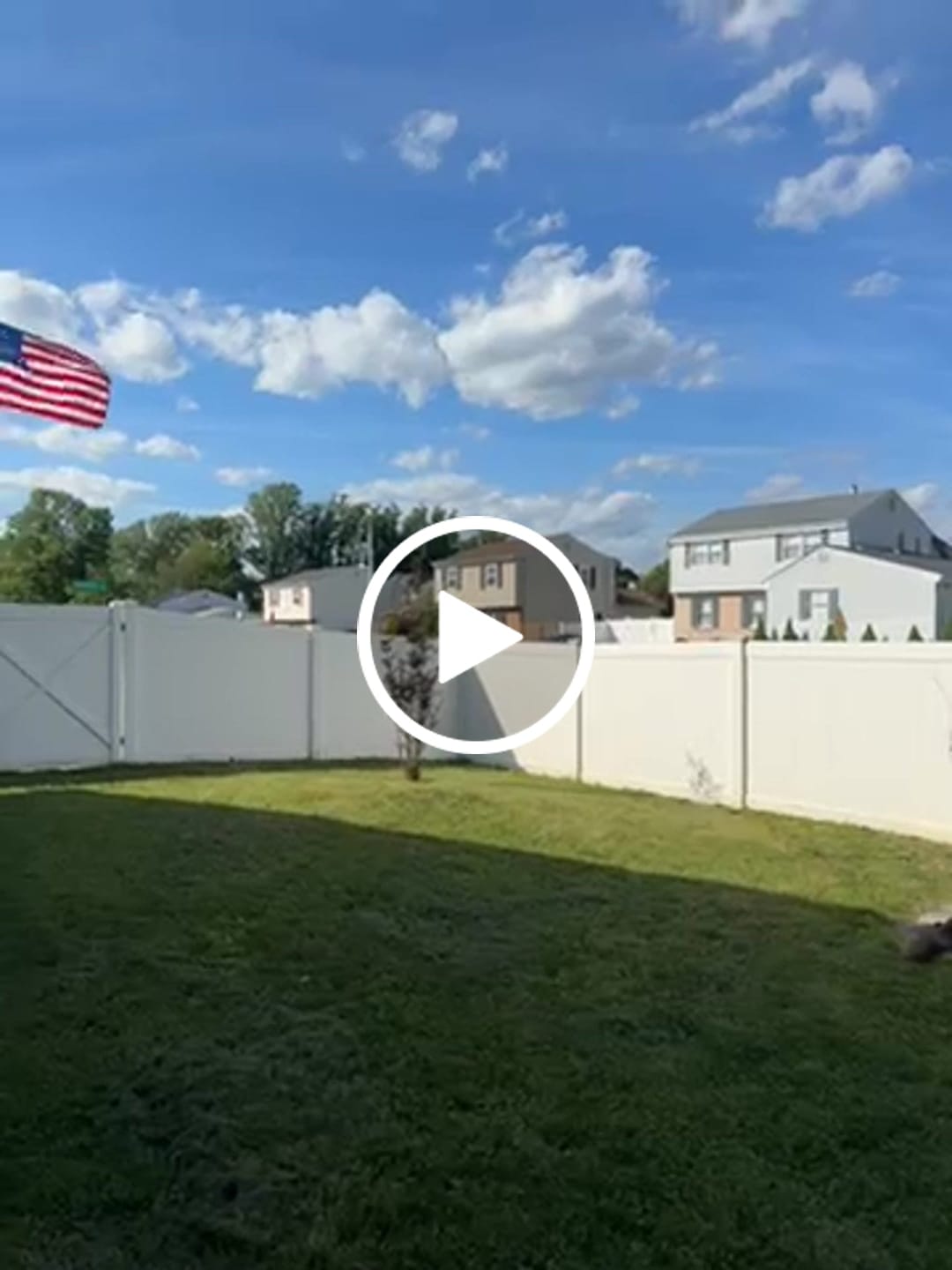 Customer video review of NEW! We The People Betsy Ross Flag - Fully Printed Nylon