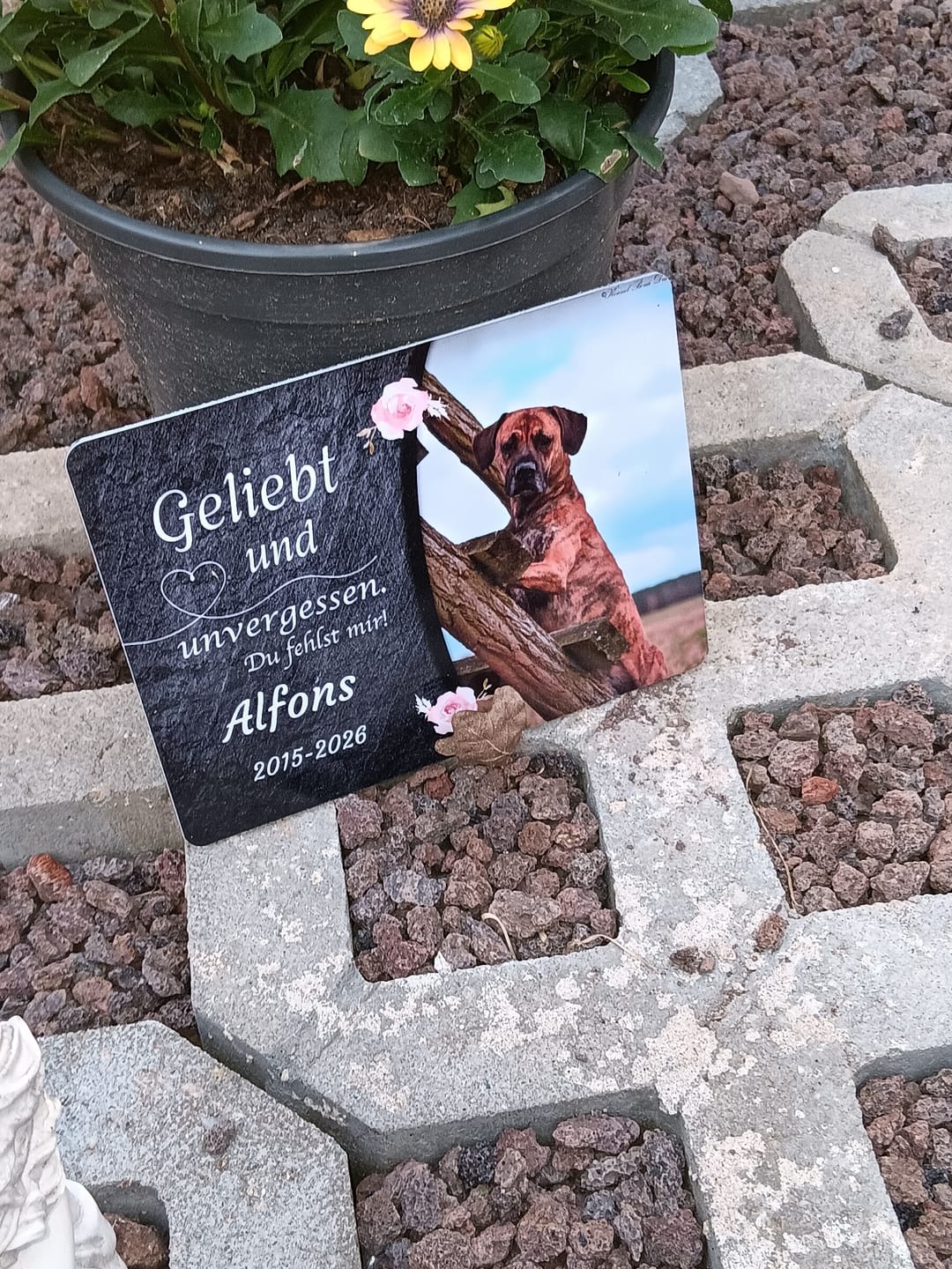 Customer photo review of Hunde Gedenktafel mit Foto & Spruch (UV- & Wetterfest)