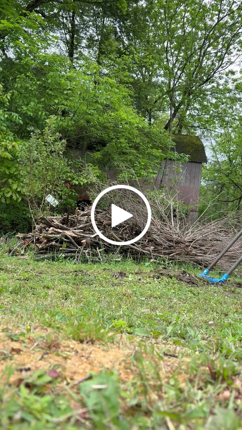 Customer video review of All-Day Treadlite Broadfork | 20" wide | 4 tines