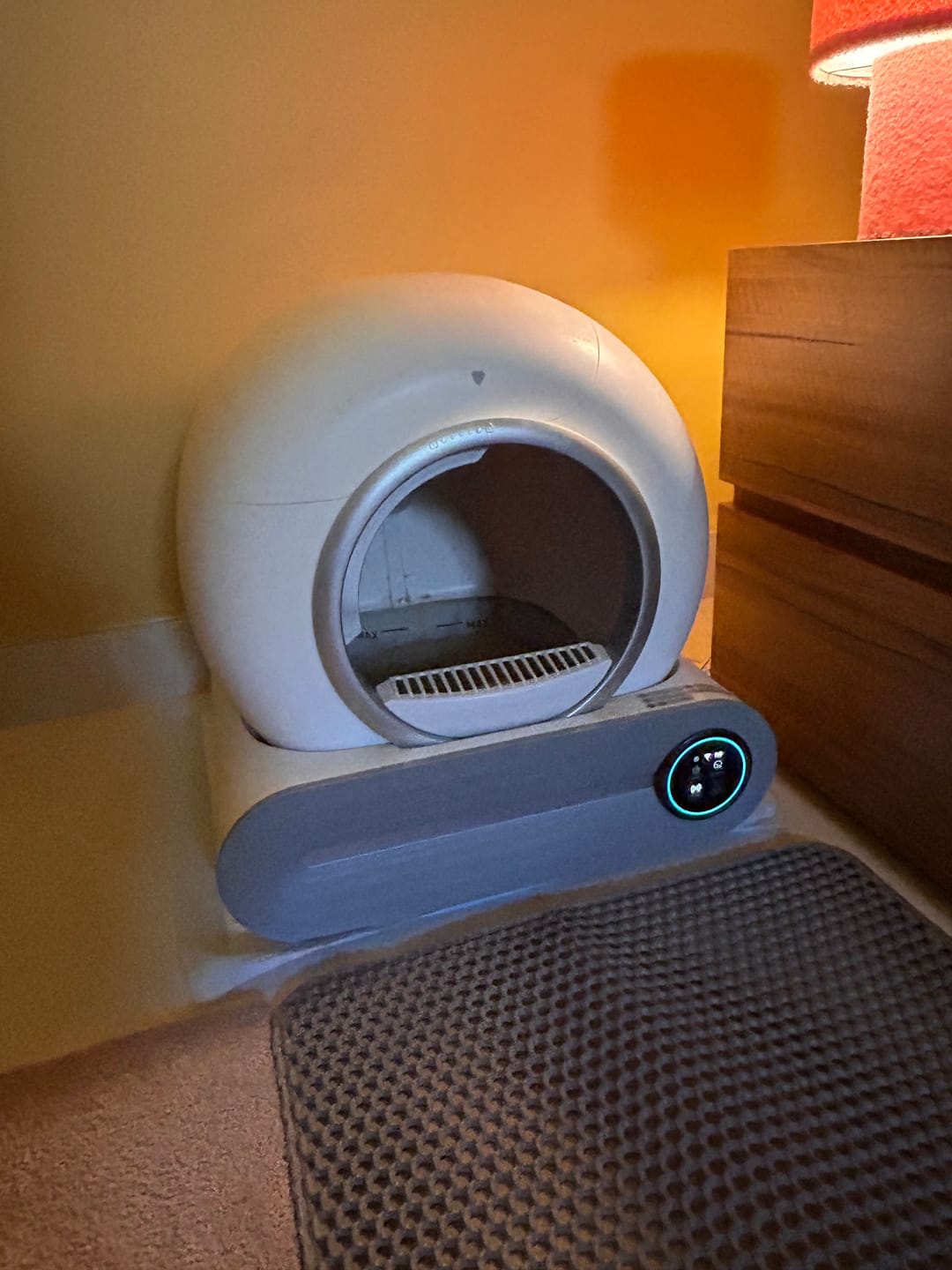 Customer photo review of Petbuds™ Pro 2026 Automatic Self-Cleaning Litter Box