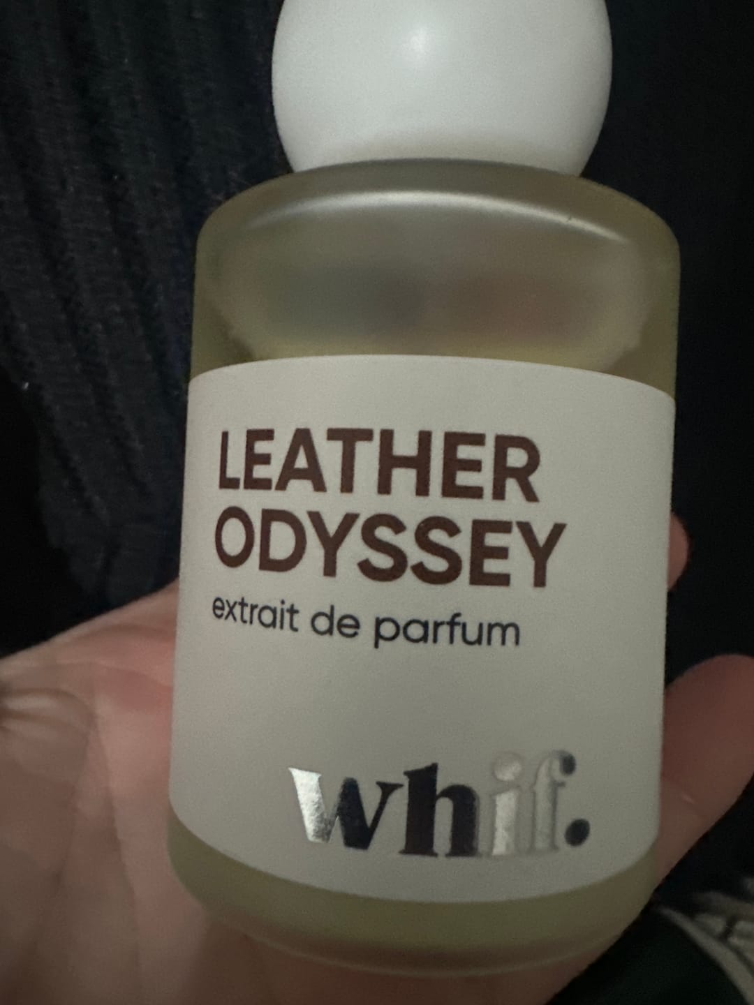 Customer photo review of Leather Odyssey
