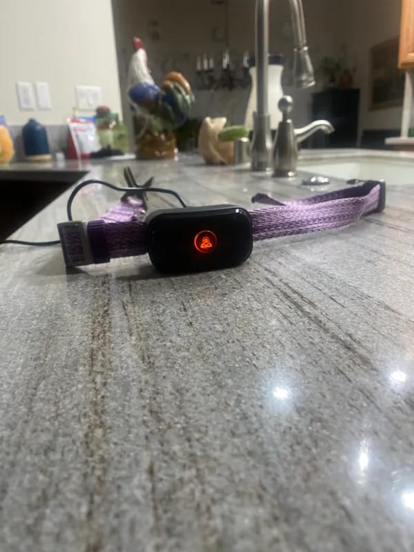 Customer photo review of PawTronic Pro Series 2 - Wireless GPS Dog Fence