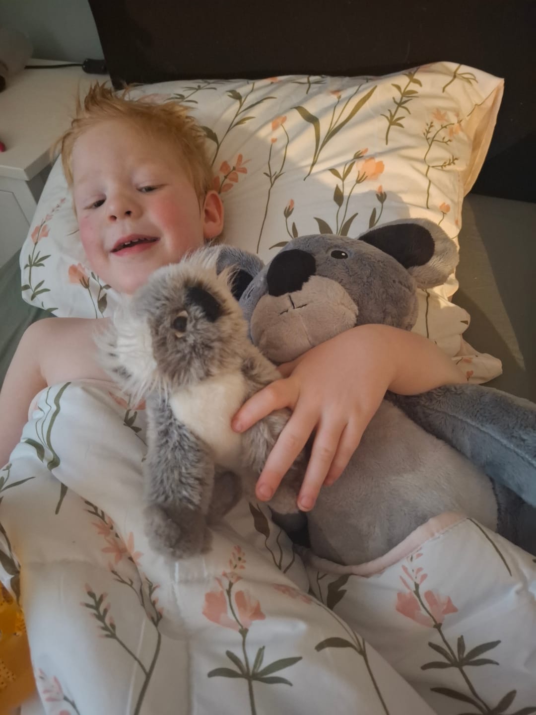 Customer photo review of Lotgenootje Koala 2kg