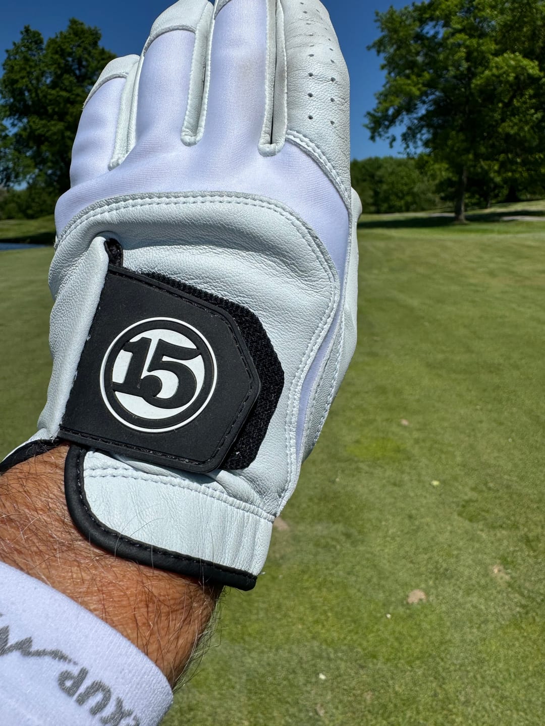 Customer photo review of The Genesis