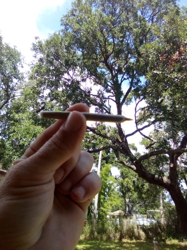 Customer photo review of Heavy OG - Minis - 28 Grams - Indica