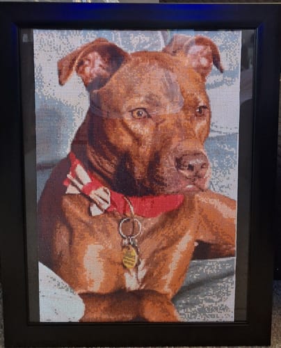 Customer photo review of Diamond Painting - Custom Photo