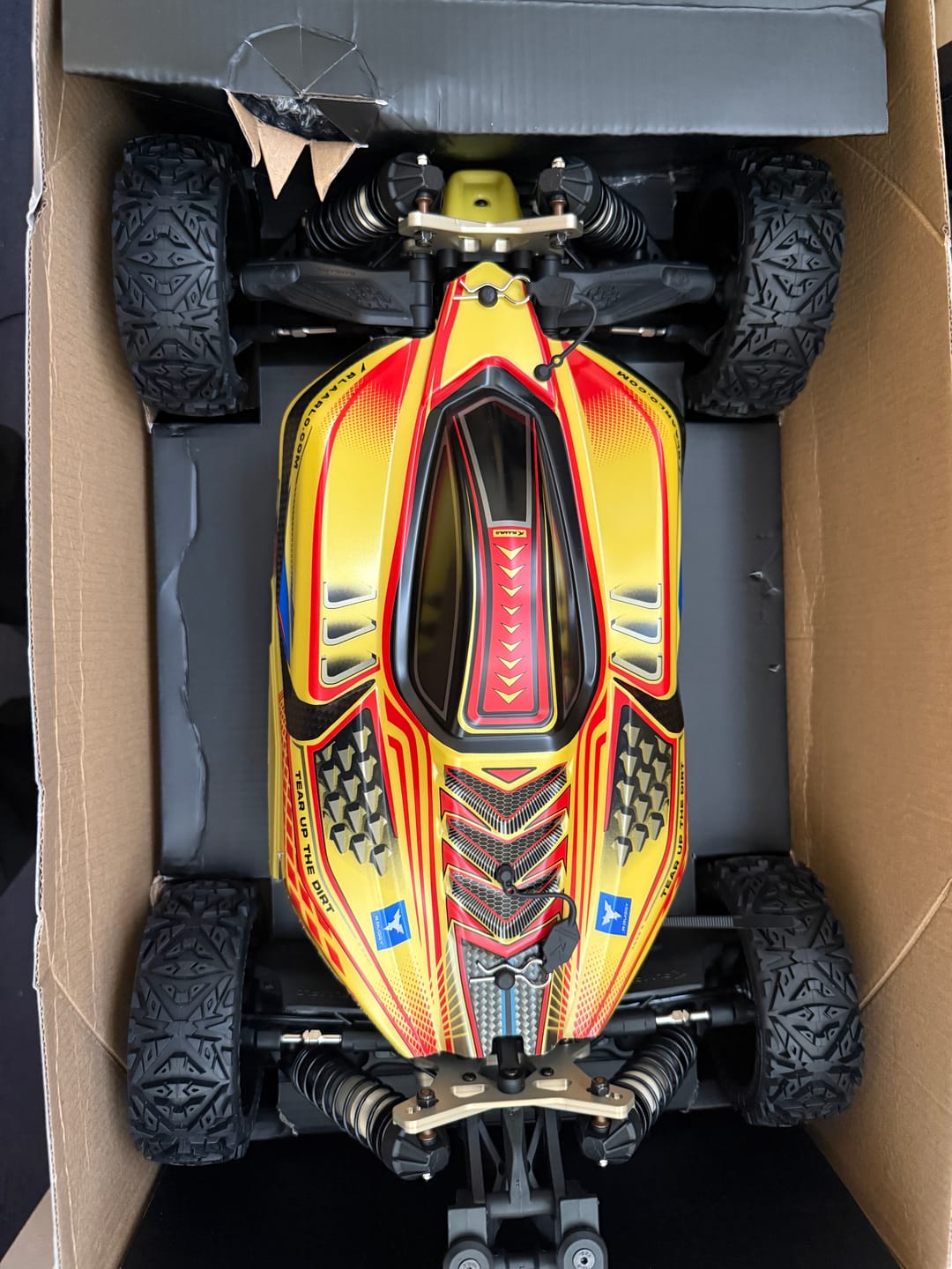 Customer photo review of Rlaarlo 1/8 4WD Buggy Dragon Scale Knight | DSK RTR