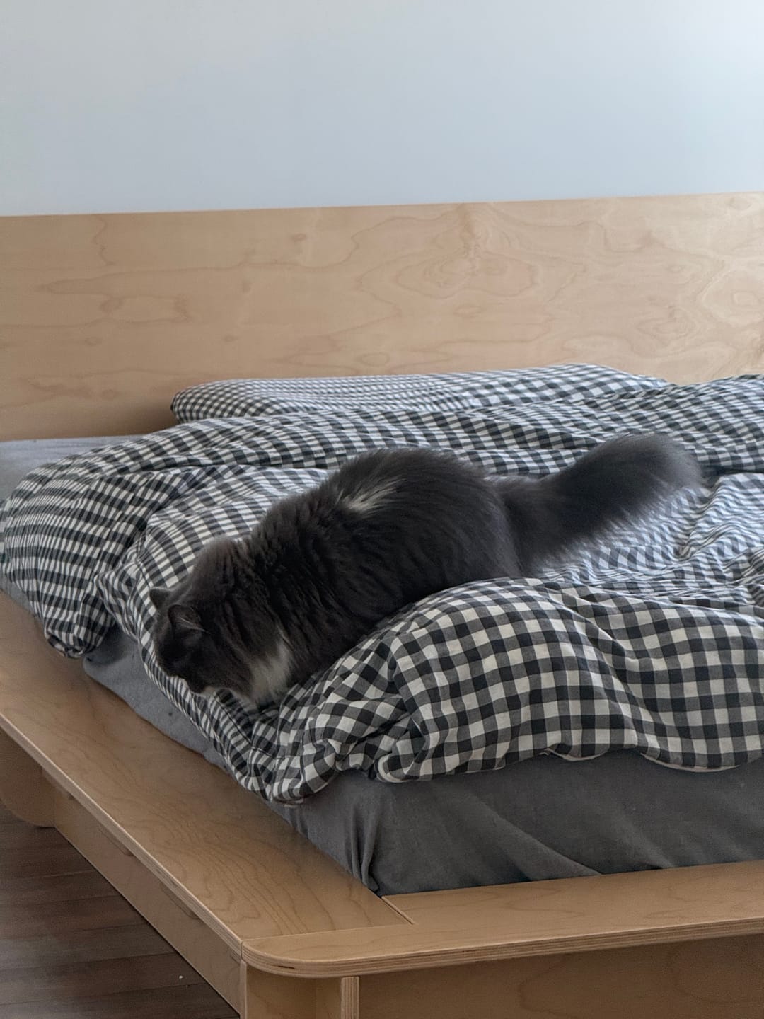 Customer photo review of Bed Platform