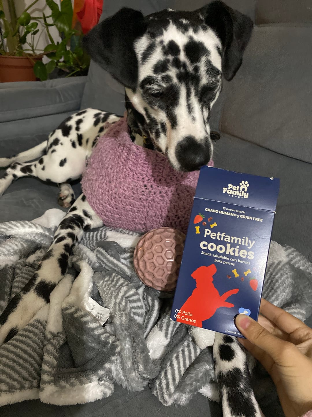 Customer photo review of PetFamily Foods