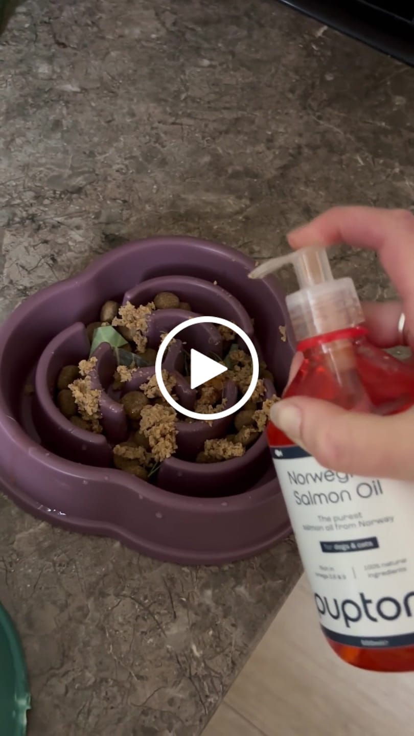 Customer video review of Norwegian Salmon Oil For Dogs & Cats