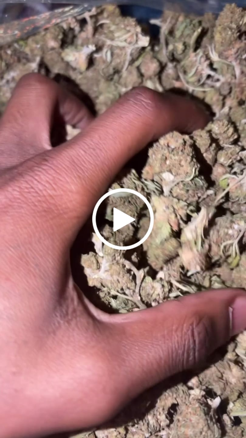 Customer video review of Elite Boutique Exotics A5 Wagyu - Bulk - Hybrid