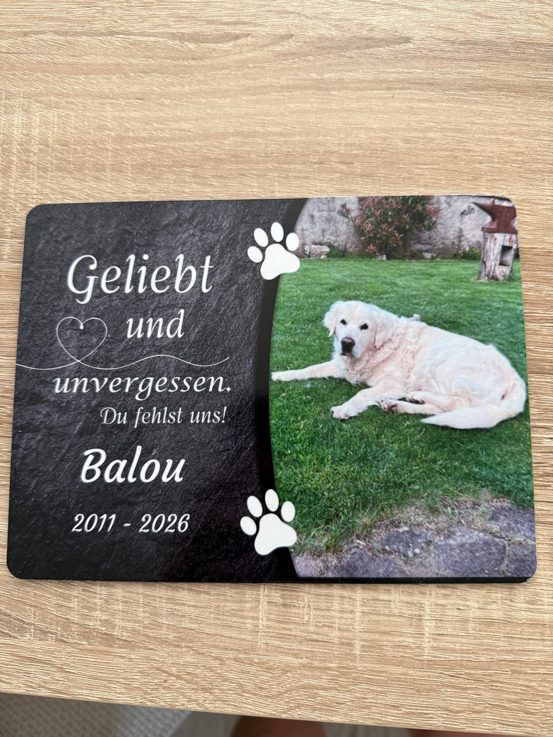 Customer photo review of Hunde Gedenktafel mit Foto & Spruch (UV- & Wetterfest)