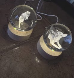 Customer photo review of Personalized Sphere
