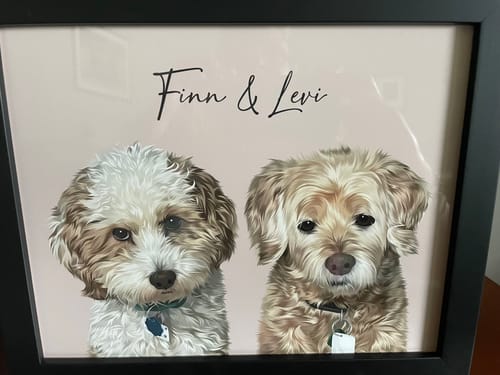Customer's custom Framed Pet Portrait of two dogs, Finn & Levi, inside a black frame.
