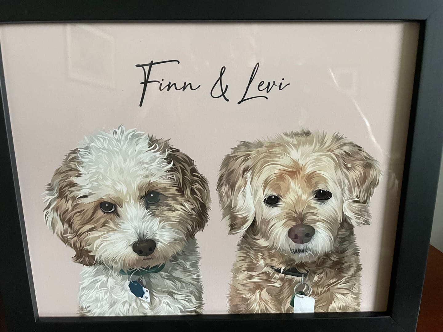 Customer photo review of Framed Pet Portrait, Custom Pet Gift, Custom Framed Portrait, Pet Memorial, Pet Gift, New Pet Gift, Pet Lover Gift (Size/Frame Color: 8"x10"/Black, Number of Pets: Two Pets, Personalization: Finn & Levi 
     2026)