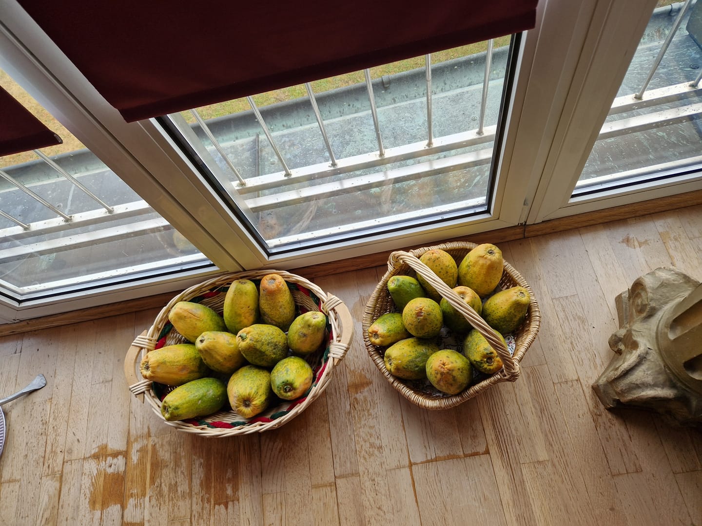 Customer photo review of Papaya Bio von Julian 4kg Box Sonderaktion %