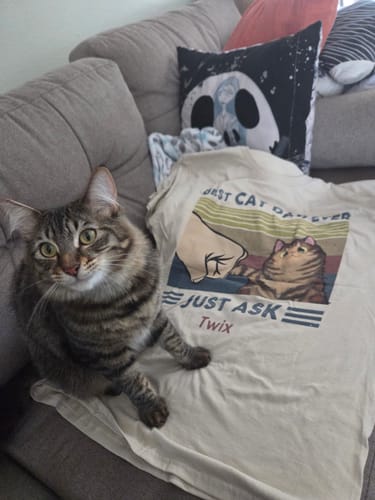 A customer's personalized 'Best Cat Dad Ever' shirt with the name 'Twix' laid on a couch next to their tabby cat.
