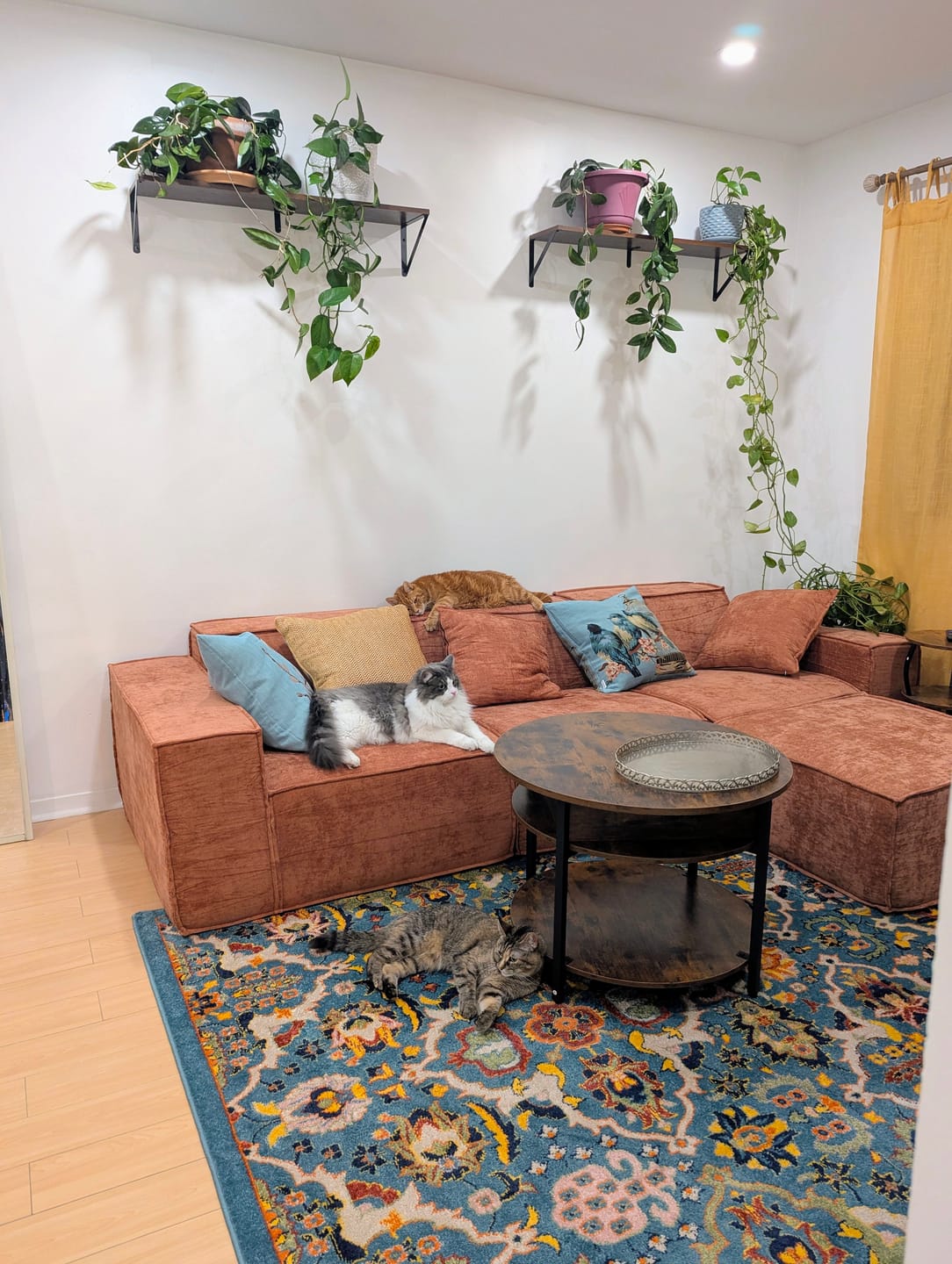 Customer photo review of M1 Sofa Sectional