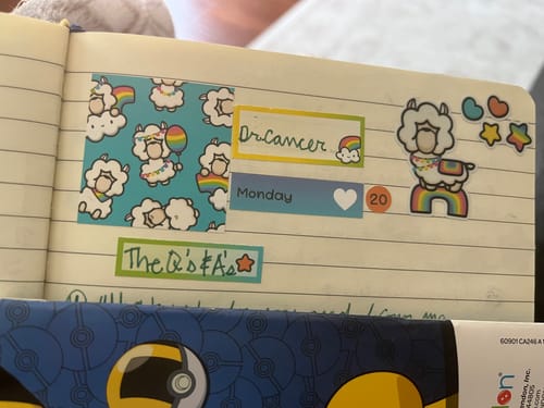 Close-up of a customer's planner showing handwritten notes on the functional and decorative llama stickers.
